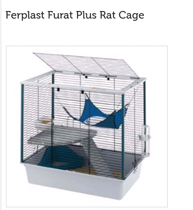 gumtree rat cage